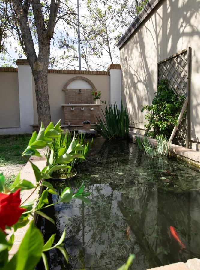 Villa Luce Assisi Rooms & Suites Eksteriør bilde